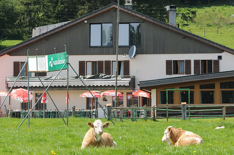 Le chalet du Café-Restaurant Les Cluds à Bullet, entouré de sa prairie.