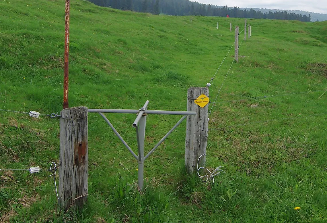 Chemin de randonnée et pâturages dans les environs des Cluds, dans le Jura vaudois.