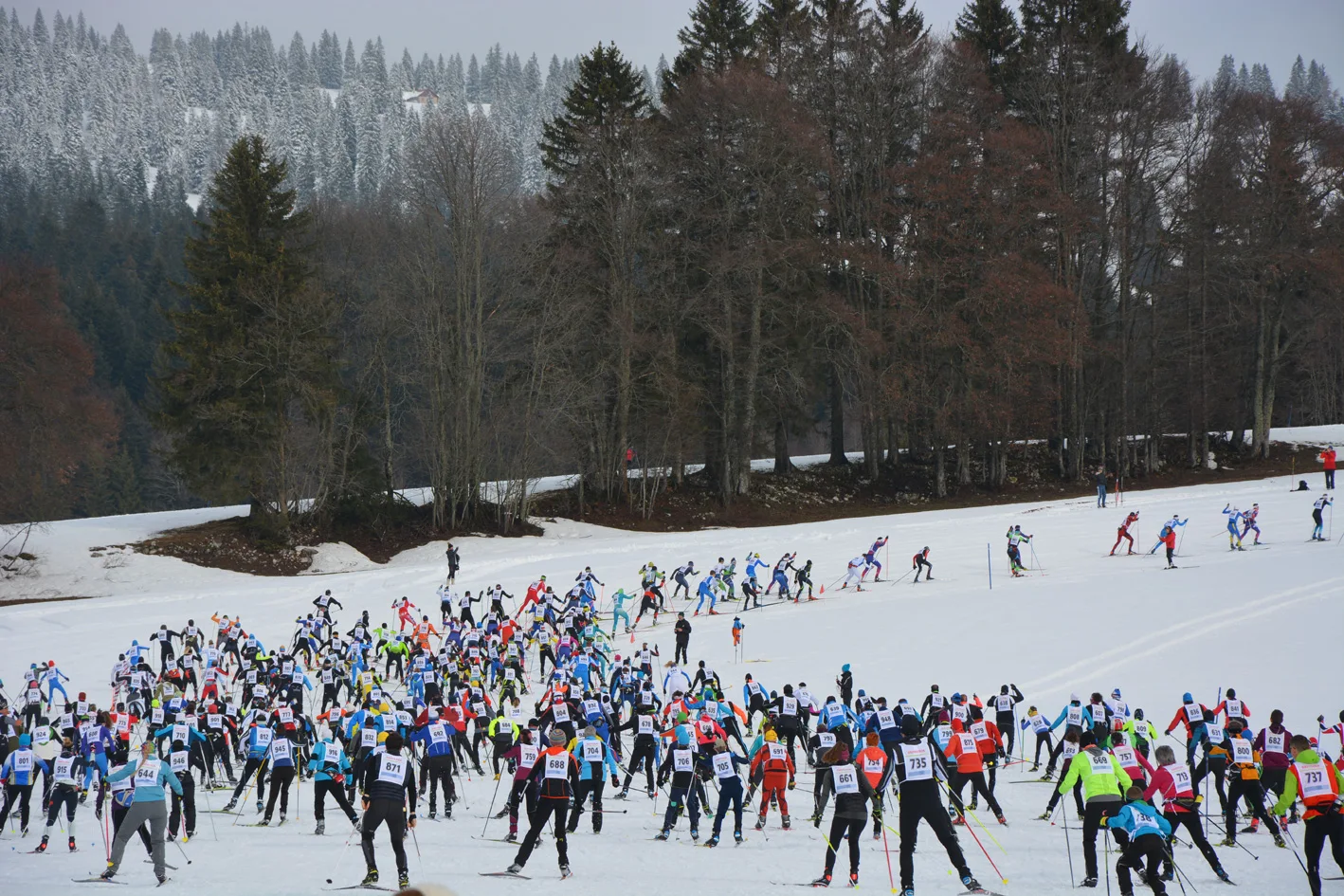 Skieurs de fond sur les pistes enneigées de la région des Cluds.
